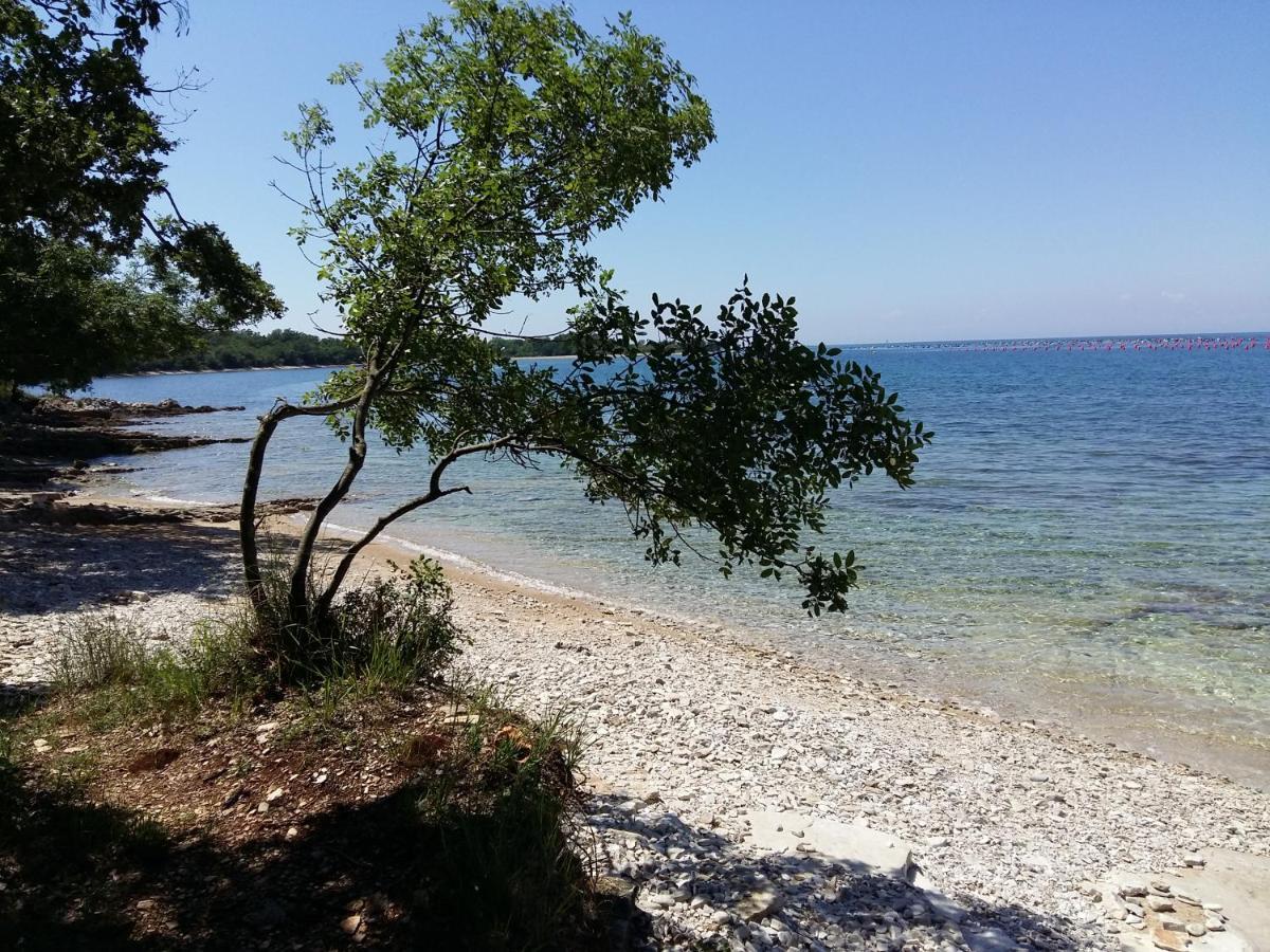 Dom Loron Apartamento Poreč Exterior foto